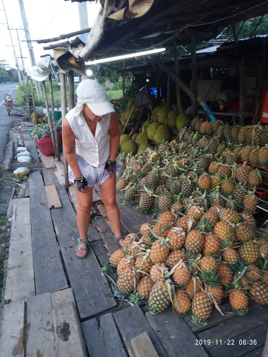 800 км по южному Таиланду - от Андаманского моря до Бангкока. Именно столько, невзирая на 30-градусную жару, проехали известный владимирский велотурист Виталий Кепин с супругой