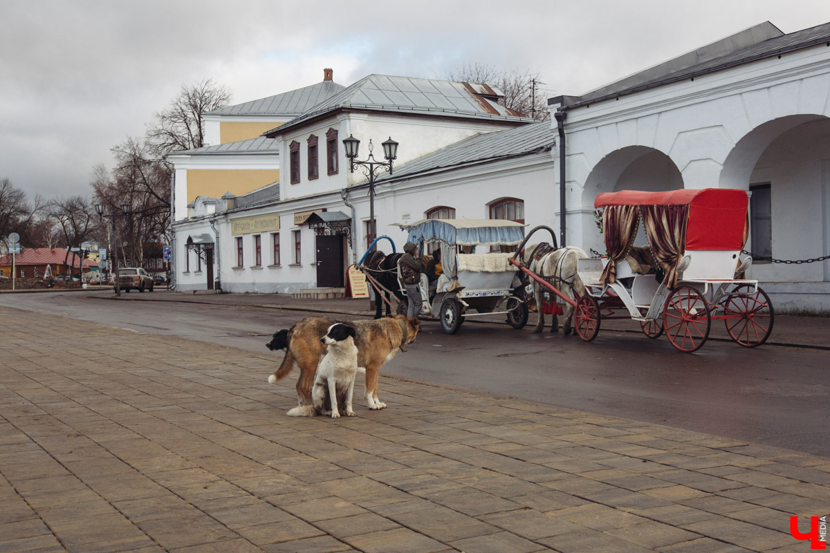 Как снимали «Женитьбу Бальзаминова» в Суздале. Рассказ очевидца событий