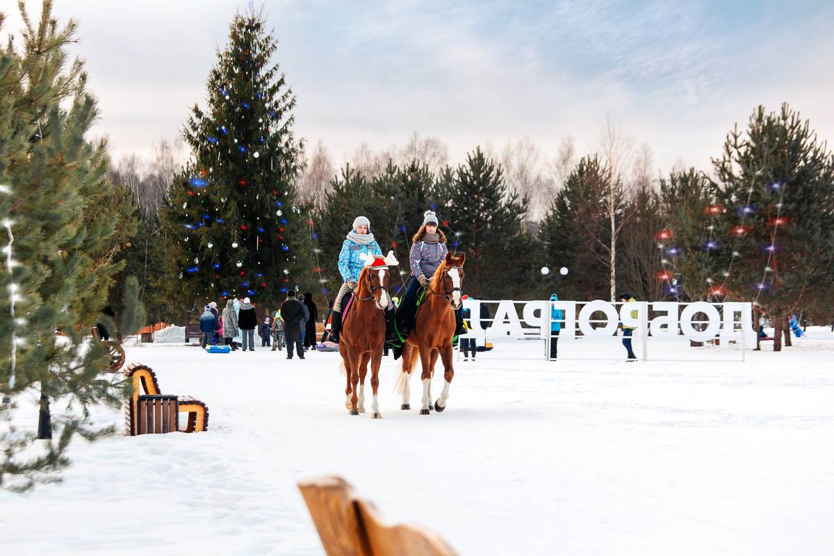 Музеи, рестораны, парк-отели рассказывали, что ждет горожан и гостей города на новогодние каникулы во Владимире, Суздале, Юрьев-Польском и Ковровском районах