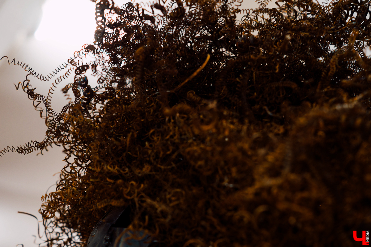 Михаил Блинов работает в необычной технике сварки, но его металлические звери и люди живут мгновением движения. Как это? Читайте в материале