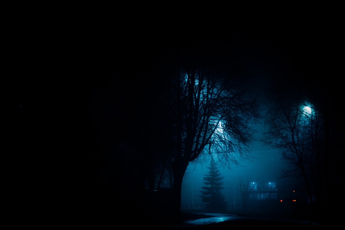 Пустые улицы, стук каблуков по брусчатке, вокруг туман. Как владимирские фотографы запечатлели зловещий декабрь?