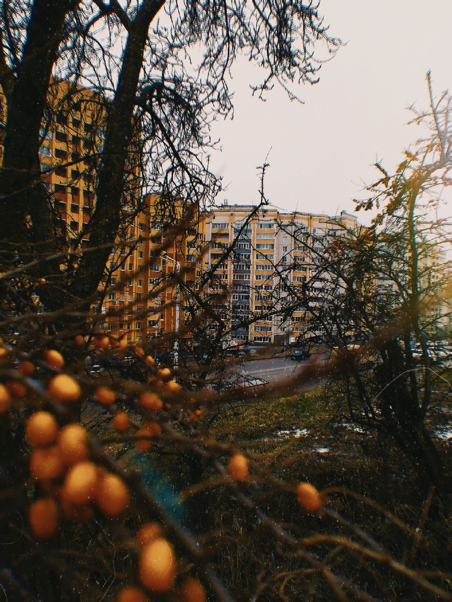 Когда дом, работа и жизнь в спальном районе надоедают, хочется куда-нибудь выбраться. Снова в центр, где жизнь кипит. А может, даже среди жилых коробков на окраине есть места, в которые стоит заглянуть?