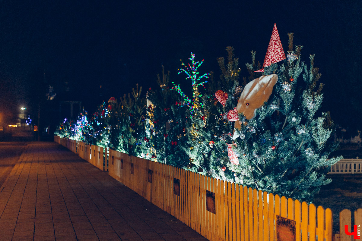 В Суздале и Муроме появились аллеи новогодних ёлок. Местные организации посоревновались в креативности и нарядили праздничные деревья