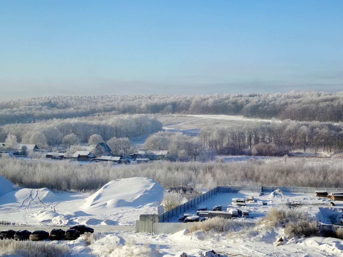Рядом с парком “Дружба” хотят возвести жилые дома. Владимирцы рассказали свои истории, чтобы показать, почему этого делать нельзя