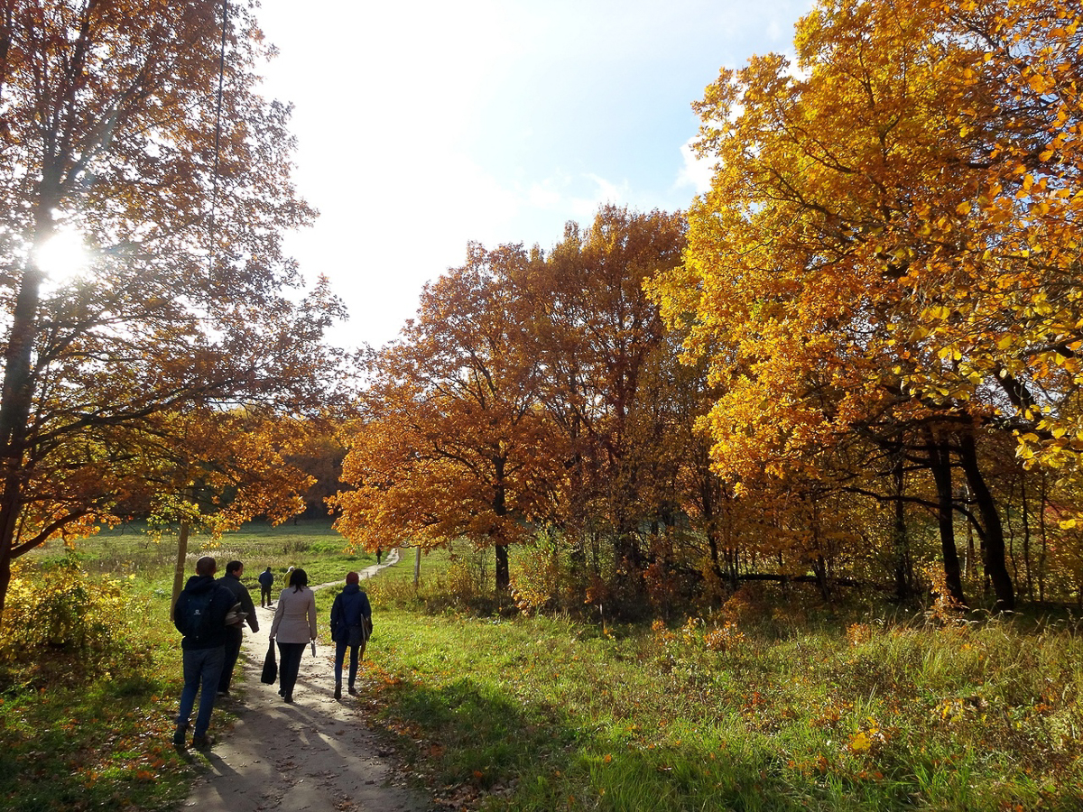 Рядом с парком “Дружба” хотят возвести жилые дома. Владимирцы рассказали свои истории, чтобы показать, почему этого делать нельзя