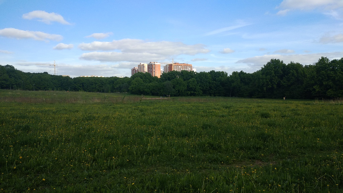 Рядом с парком “Дружба” хотят возвести жилые дома. Владимирцы рассказали свои истории, чтобы показать, почему этого делать нельзя