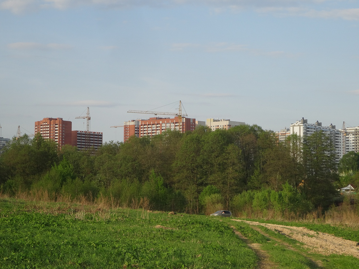 Рядом с парком “Дружба” хотят возвести жилые дома. Владимирцы рассказали свои истории, чтобы показать, почему этого делать нельзя