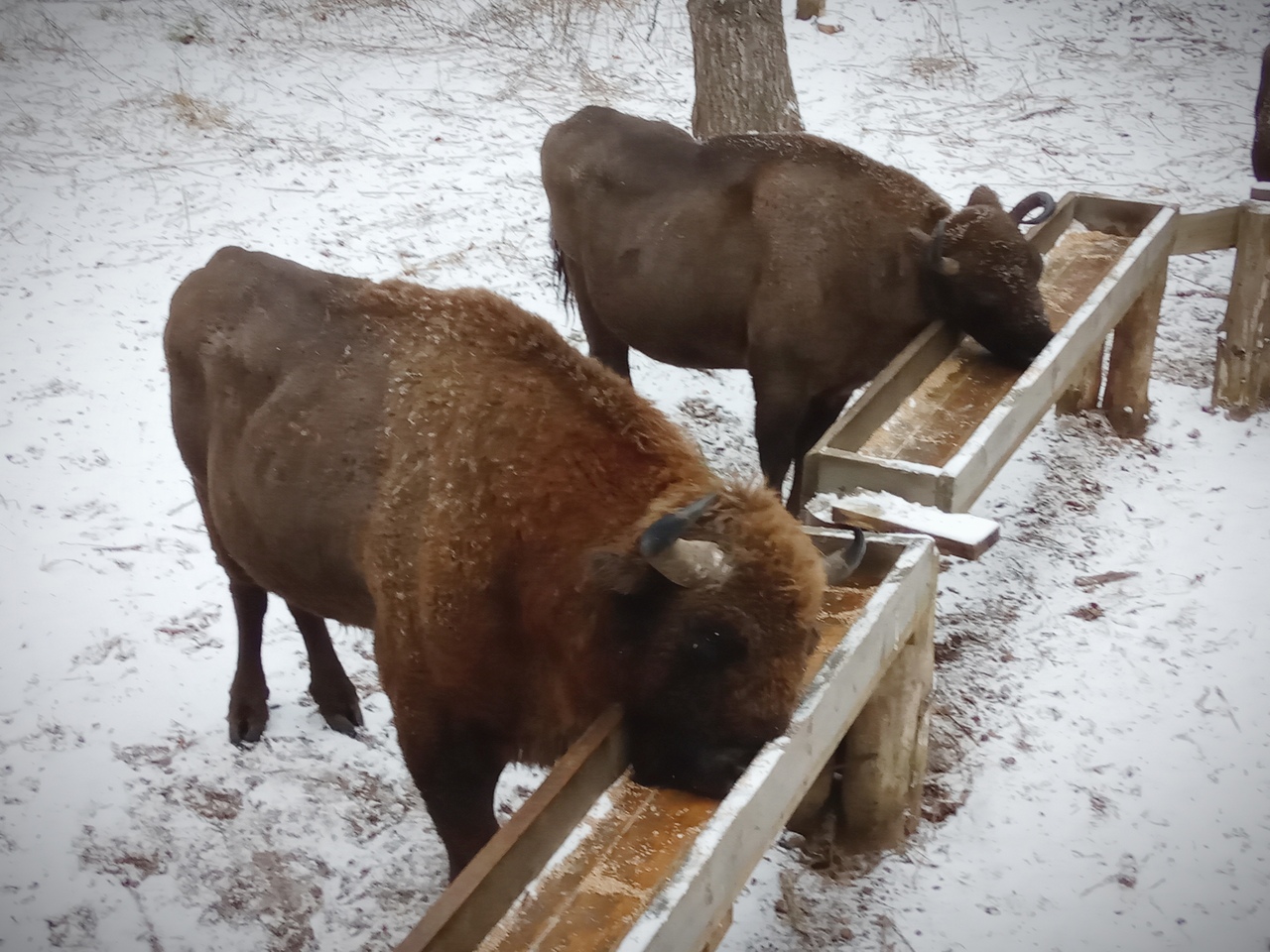 Куда поехать в новогодние каникулы? 5 идей для нетривиальных экскурсий по Владимирской области