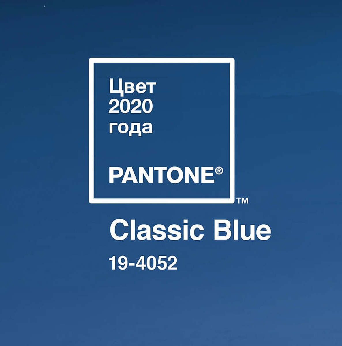 Какой цвет станет самым популярным в новом сезоне? Какую одежду выбрать в 2020 году? А аксессуары? София Кожевникова выведет владимирских красавиц из «лабиринта модных сомнений»