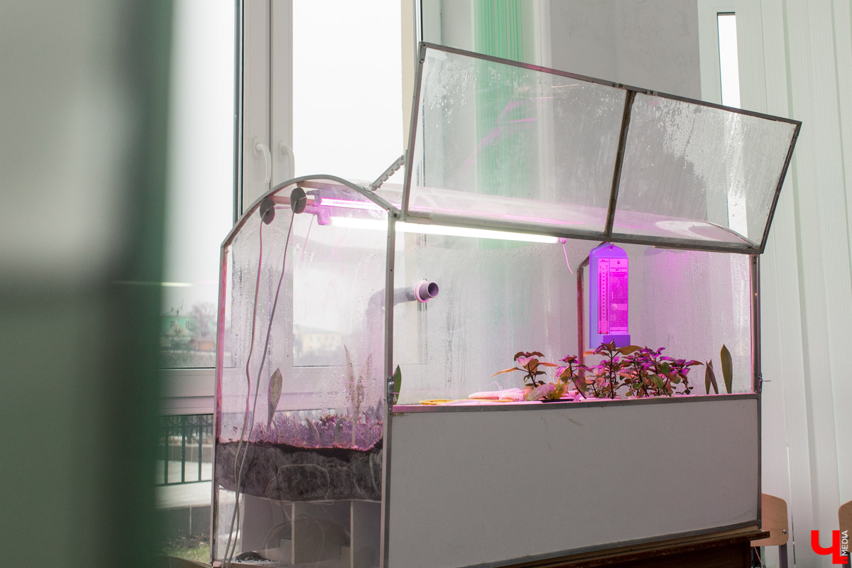 Станция юннатов «Патриарший сад» начала новый, уникальный для 33-го региона проект. Что такое сити-ферма и чему здесь учат?