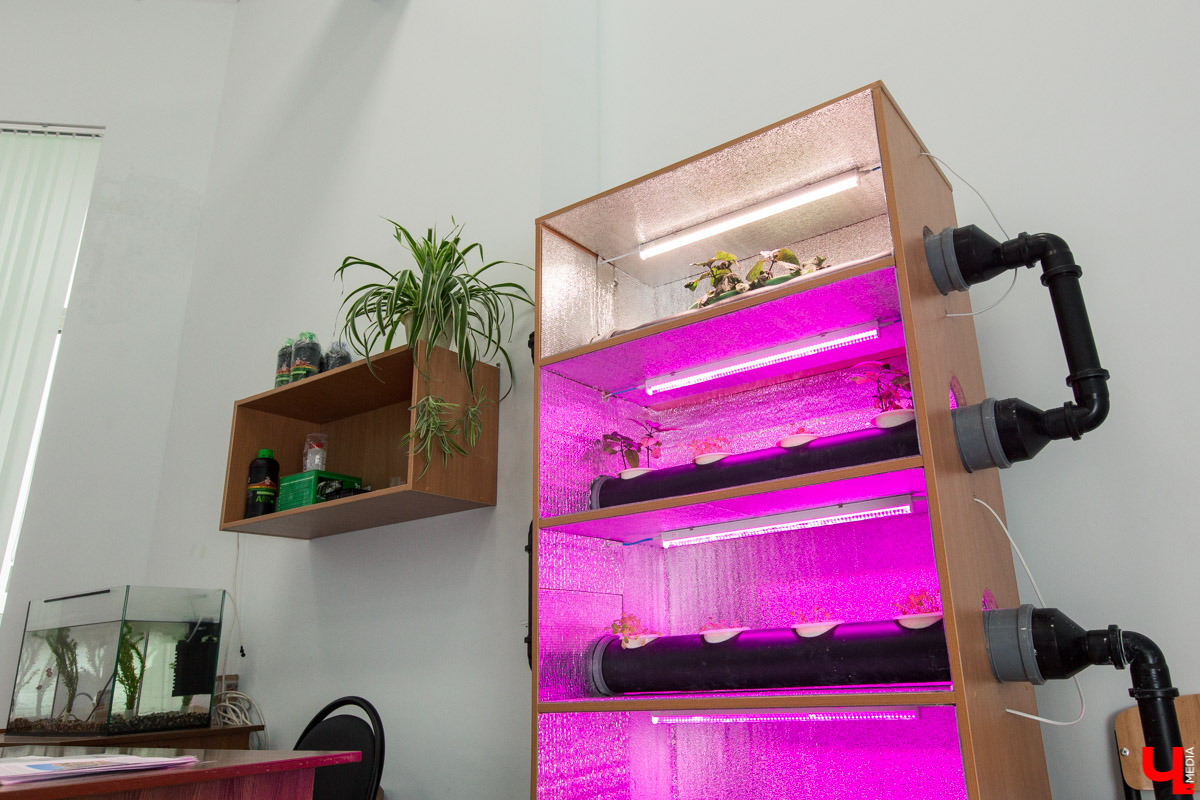 Станция юннатов «Патриарший сад» начала новый, уникальный для 33-го региона проект. Что такое сити-ферма и чему здесь учат?