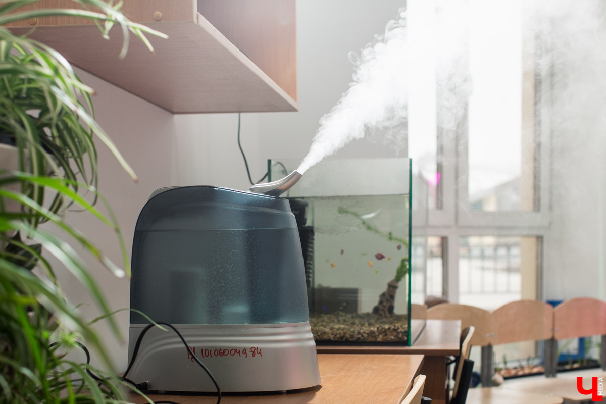 Станция юннатов «Патриарший сад» начала новый, уникальный для 33-го региона проект. Что такое сити-ферма и чему здесь учат?