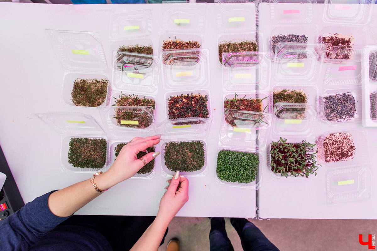 Станция юннатов «Патриарший сад» начала новый, уникальный для 33-го региона проект. Что такое сити-ферма и чему здесь учат?