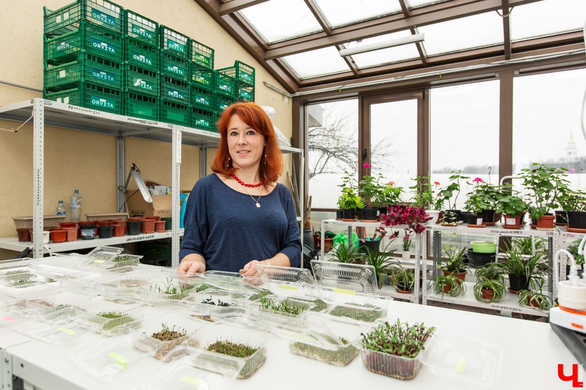 Станция юннатов «Патриарший сад» начала новый, уникальный для 33-го региона проект. Что такое сити-ферма и чему здесь учат?