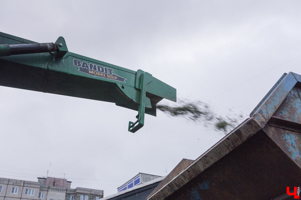 Во Владимире заработал новый сервис. Можно бесплатно утилизировать живую новогоднюю ёлку