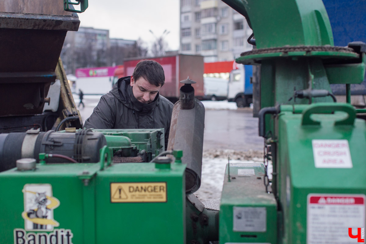 Во Владимире заработал новый сервис. Можно бесплатно утилизировать живую новогоднюю ёлку