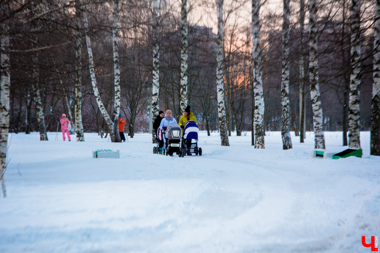 Обновление парка «Добросельский» начнется в 2020 году. В городском бюджете уже заложены 75 миллионов рублей на эти работы