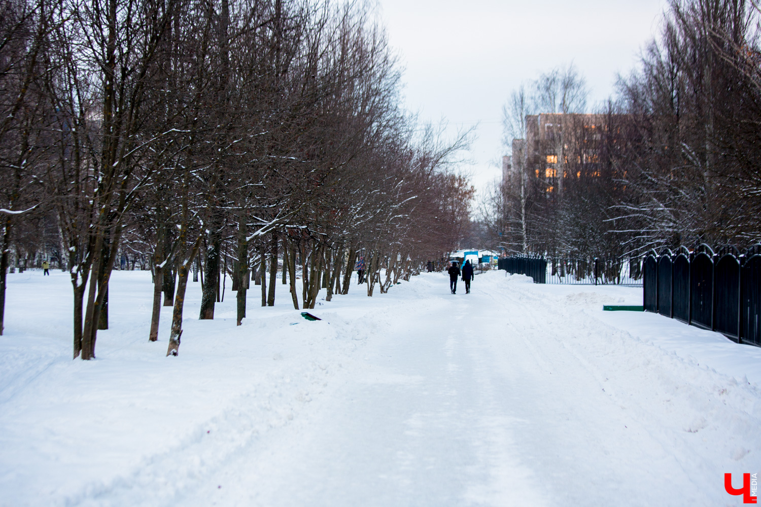 Обновление парка «Добросельский» начнется в 2020 году. В городском бюджете уже заложены 75 миллионов рублей на эти работы