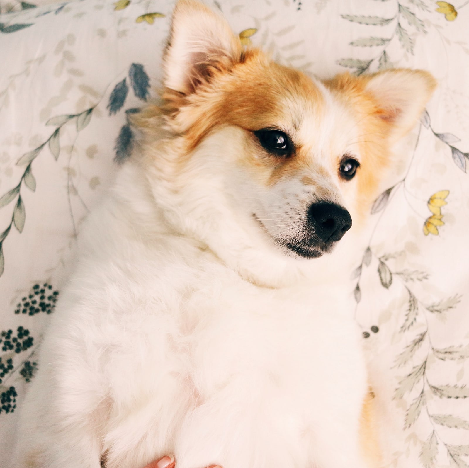 Если спросить у владимирца, что его бесит больше всего, он ответит… Мы собрали десяток самых распространенных мнений о городе и том, что в нем происходит. Или не происходит. Читайте сами!