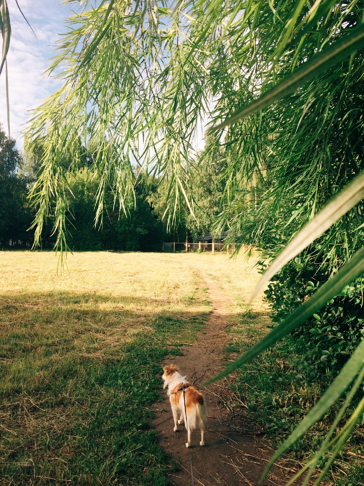Если спросить у владимирца, что его бесит больше всего, он ответит… Мы собрали десяток самых распространенных мнений о городе и том, что в нем происходит. Или не происходит. Читайте сами!