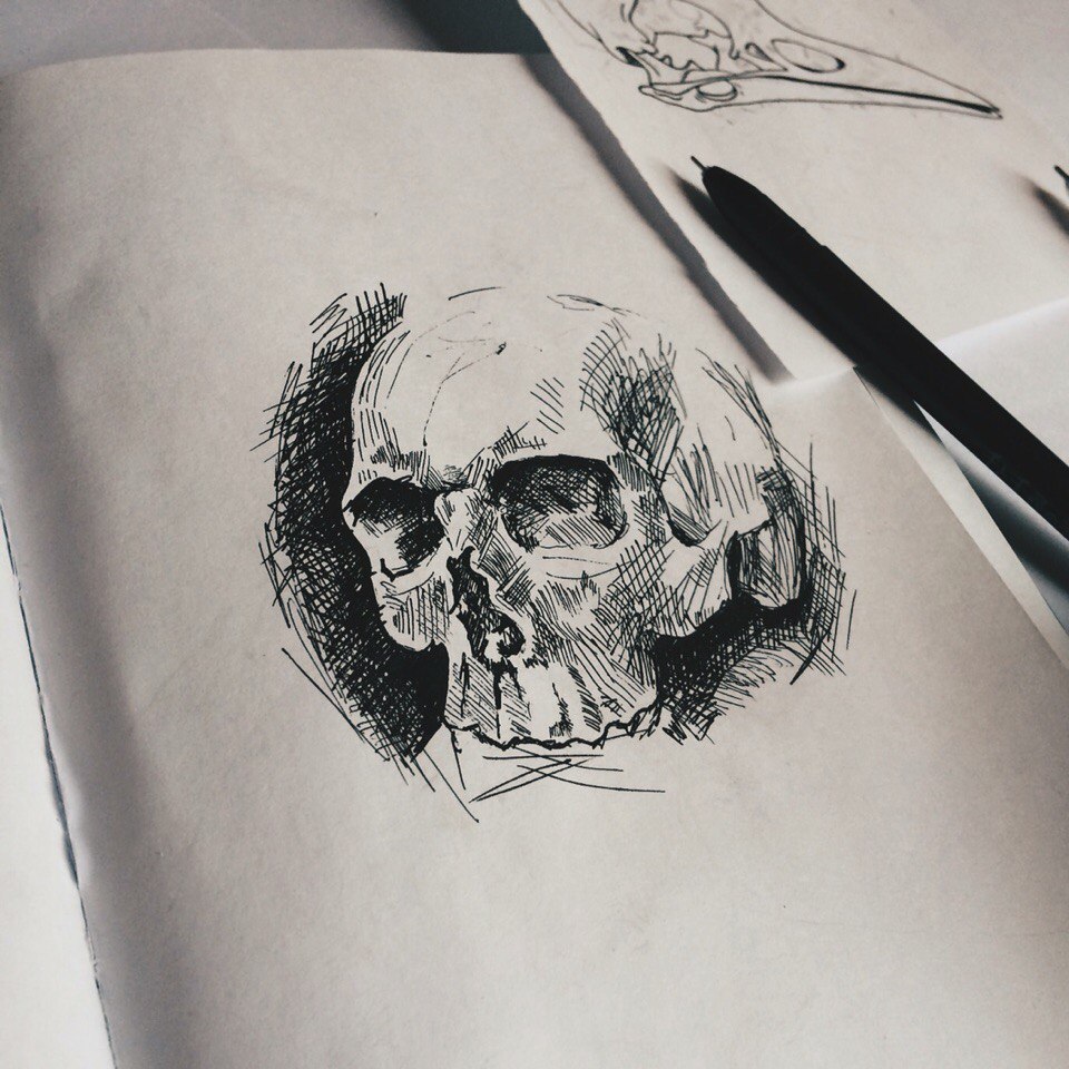 Вы точно видели работы этих прекрасных девушек на татуировках, логотипах и даже стенах заведений. Рассказываем о художницах, которые покорили наш город и готовятся покорять Вселенную