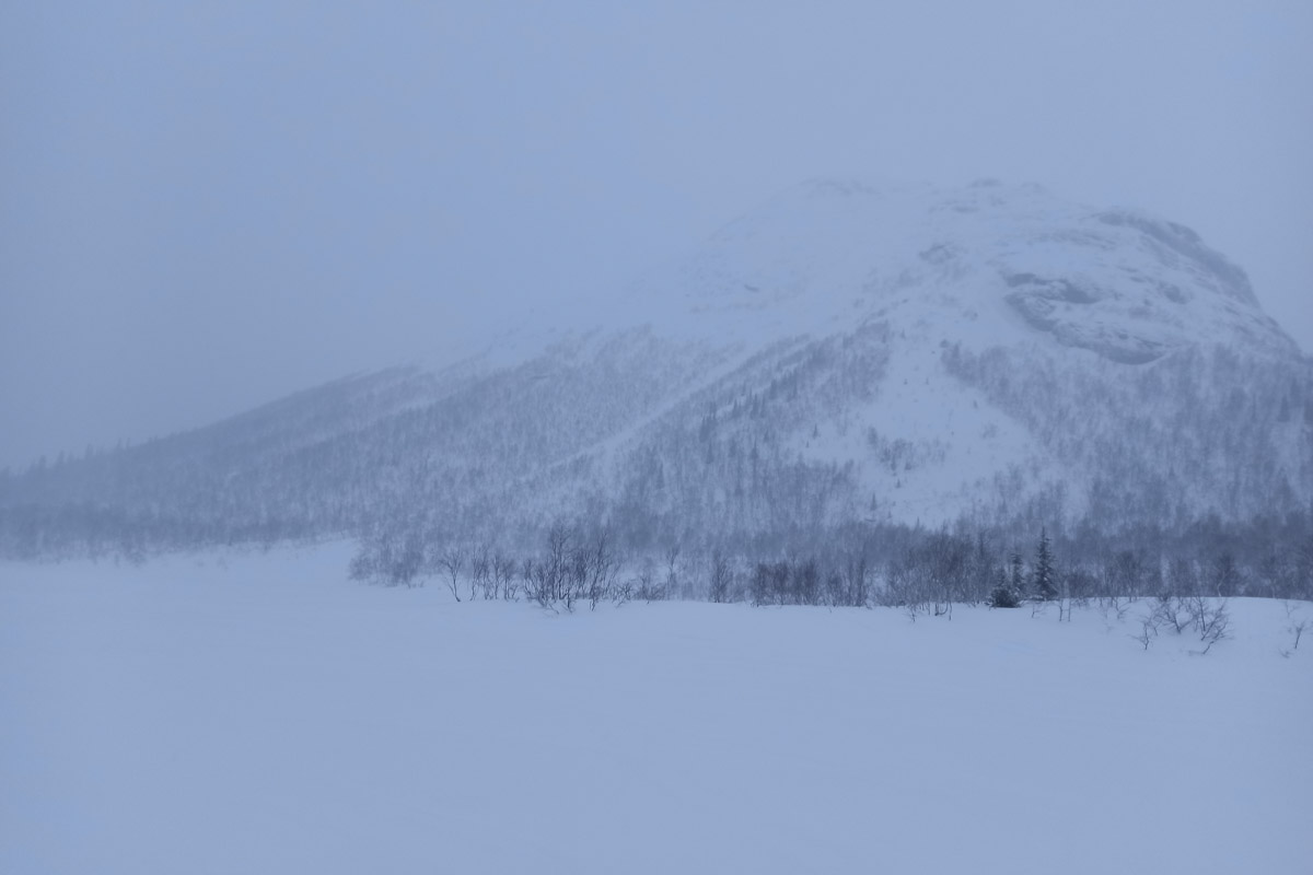 Андрей Дубровский планировал отправиться в семейное путешествие до Териберки, где снимался “Левиафан” Звягинцева. Но жизнь внесла свои коррективы