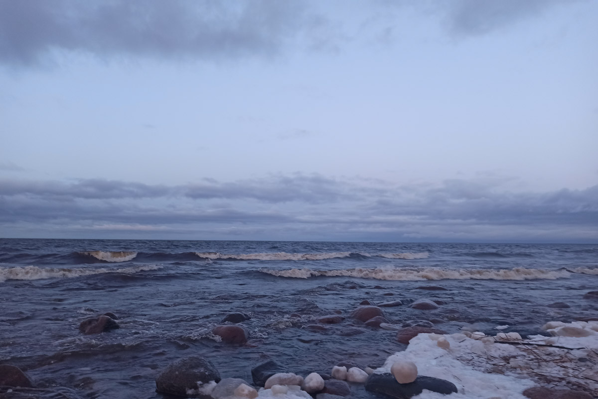 Андрей Дубровский планировал отправиться в семейное путешествие до Териберки, где снимался “Левиафан” Звягинцева. Но жизнь внесла свои коррективы