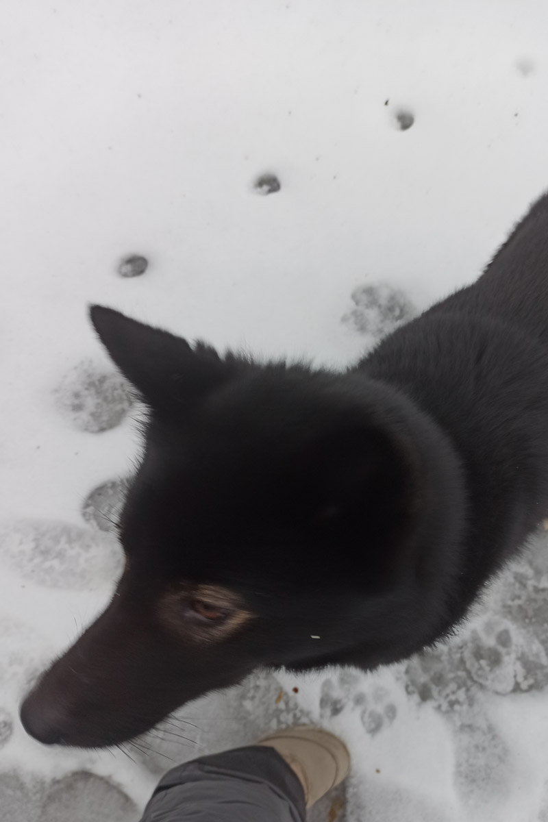 Андрей Дубровский планировал отправиться в семейное путешествие до Териберки, где снимался “Левиафан” Звягинцева. Но жизнь внесла свои коррективы