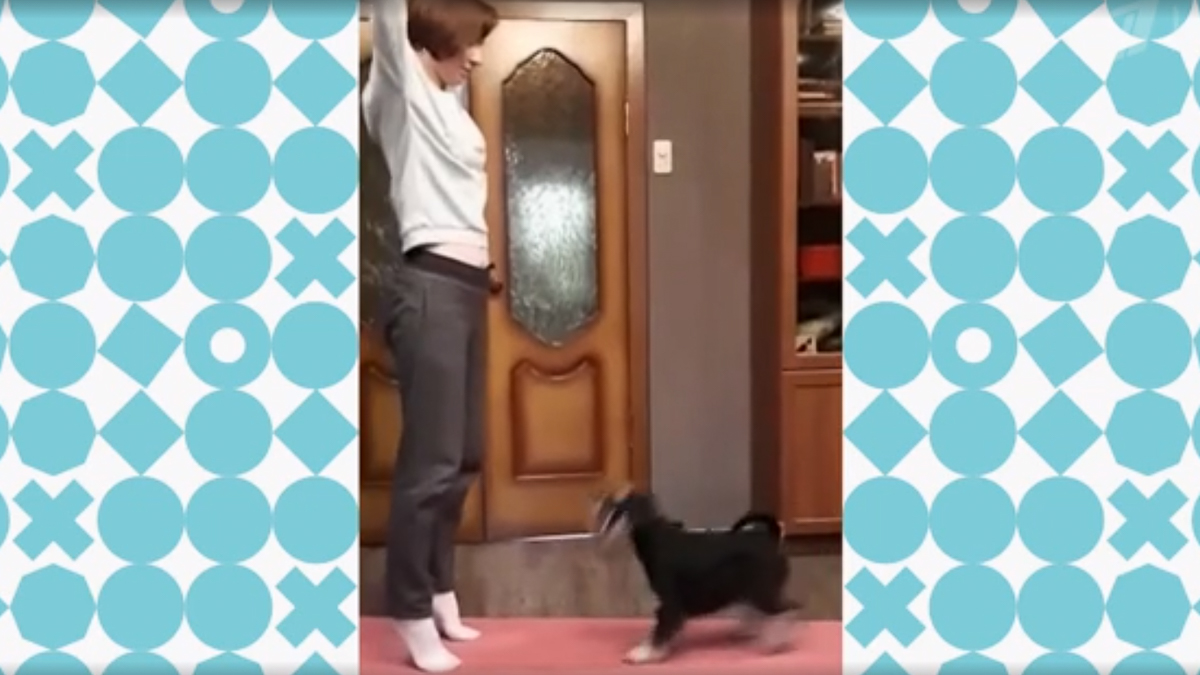 В программе “Видели видео” снялись владимирский экоактивист Полина Артюх и ее собака Тайна. Чем участницы покорили зрителей?