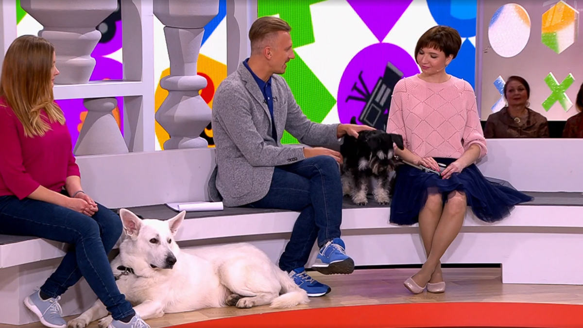 В программе “Видели видео” снялись владимирский экоактивист Полина Артюх и ее собака Тайна. Чем участницы покорили зрителей?