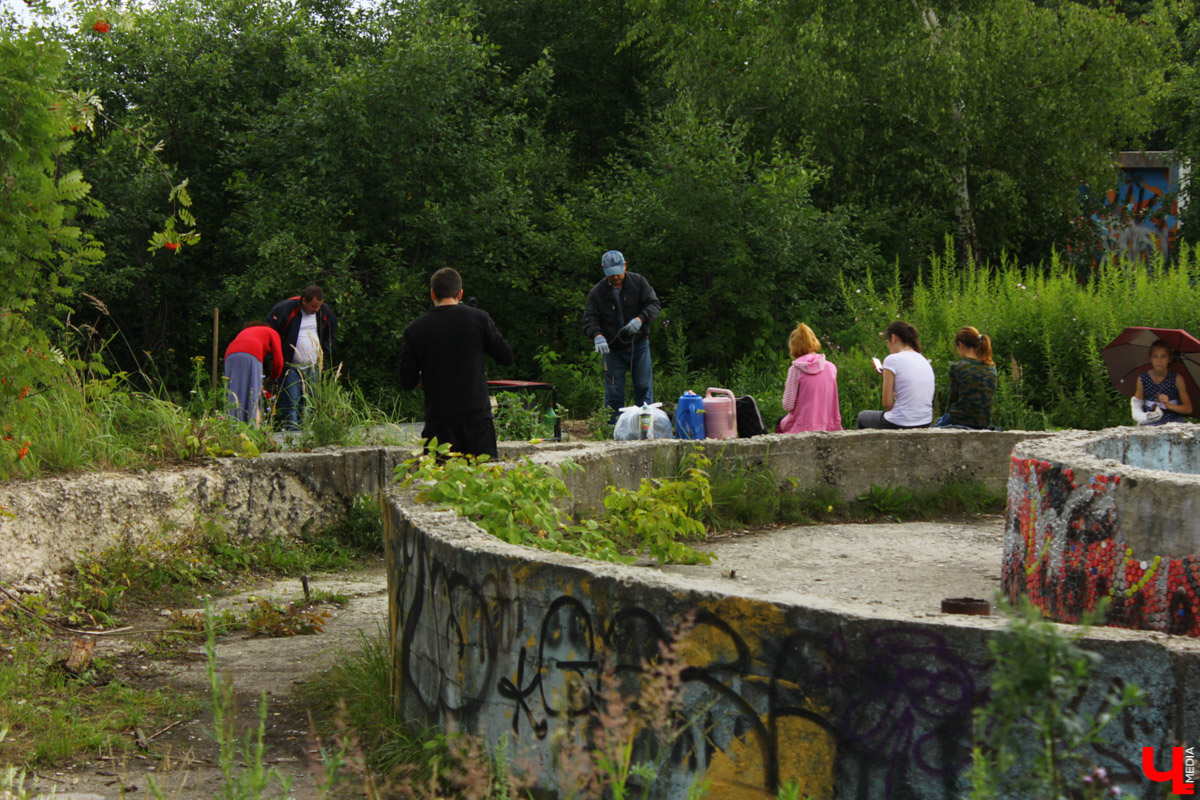 Важные новости об экологии. Во Владимире наконец-то приняли «Зеленый щит», начали реализацию проекта «Экология». Но сотни гектаров зеленых территорий отводят под застройку