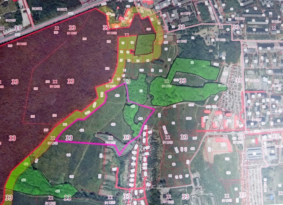 Важные новости об экологии. Во Владимире наконец-то приняли «Зеленый щит», начали реализацию проекта «Экология». Но сотни гектаров зеленых территорий отводят под застройку