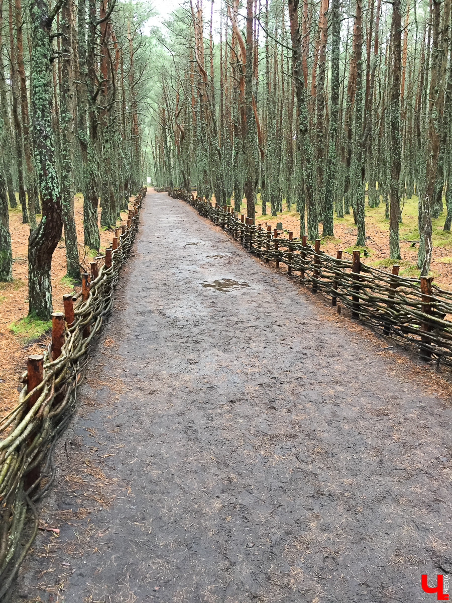 Выяснили, сколько стоит дорога, проживание, сувениры, рестораны в Калининграде и городах Калининградской области