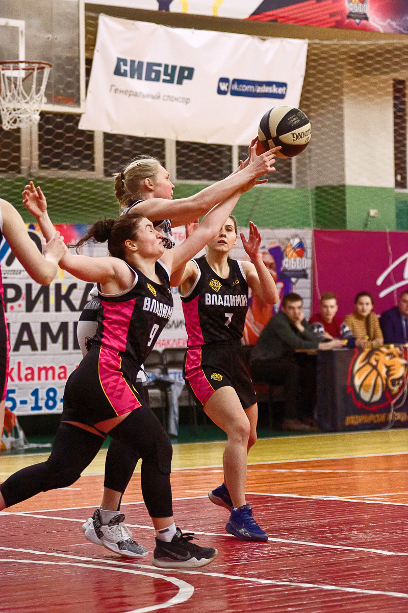 3 февраля прошли четвертые домашние игры в рамках элитного дивизиона «Суперлига» Ассоциации Студенческого Баскетбола. На площадке противостояли две команды: «Владимирские львицы» и «Черные медведи». Игра была жаркой и увлекательной