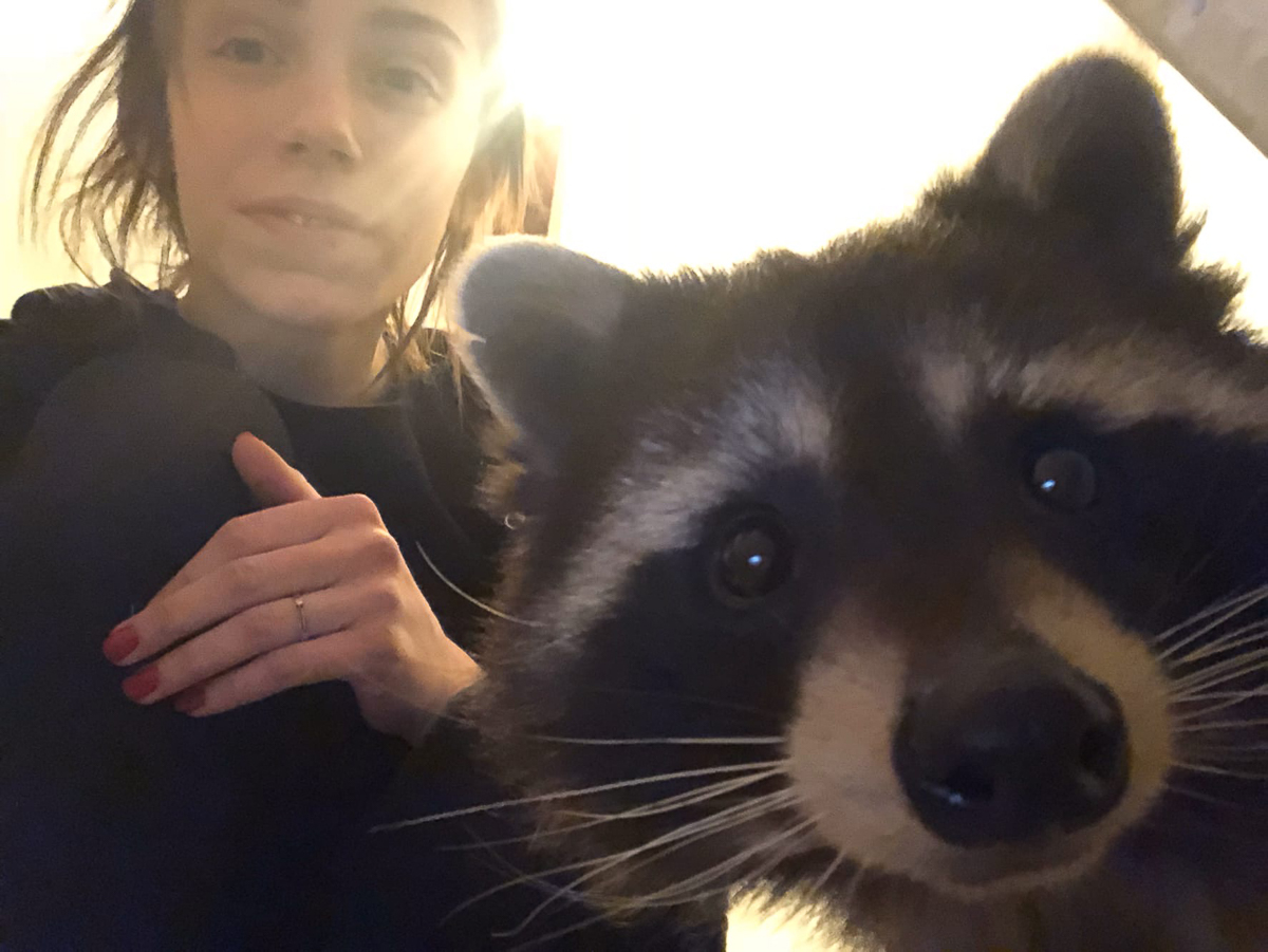 Самые интересные идеи рождаются благодаря вдохновению. Соня Цымбалюк, соучредитель двух популярных заведений во Владимире и Радужном, черпает его от животных. Рассказываем об олене, еноте, ястребе и других пушистых любимцах серьезной девушки