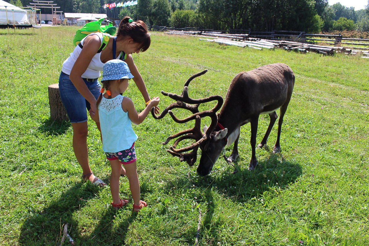 Самые интересные идеи рождаются благодаря вдохновению. Соня Цымбалюк, соучредитель двух популярных заведений во Владимире и Радужном, черпает его от животных. Рассказываем об олене, еноте, ястребе и других пушистых любимцах серьезной девушки