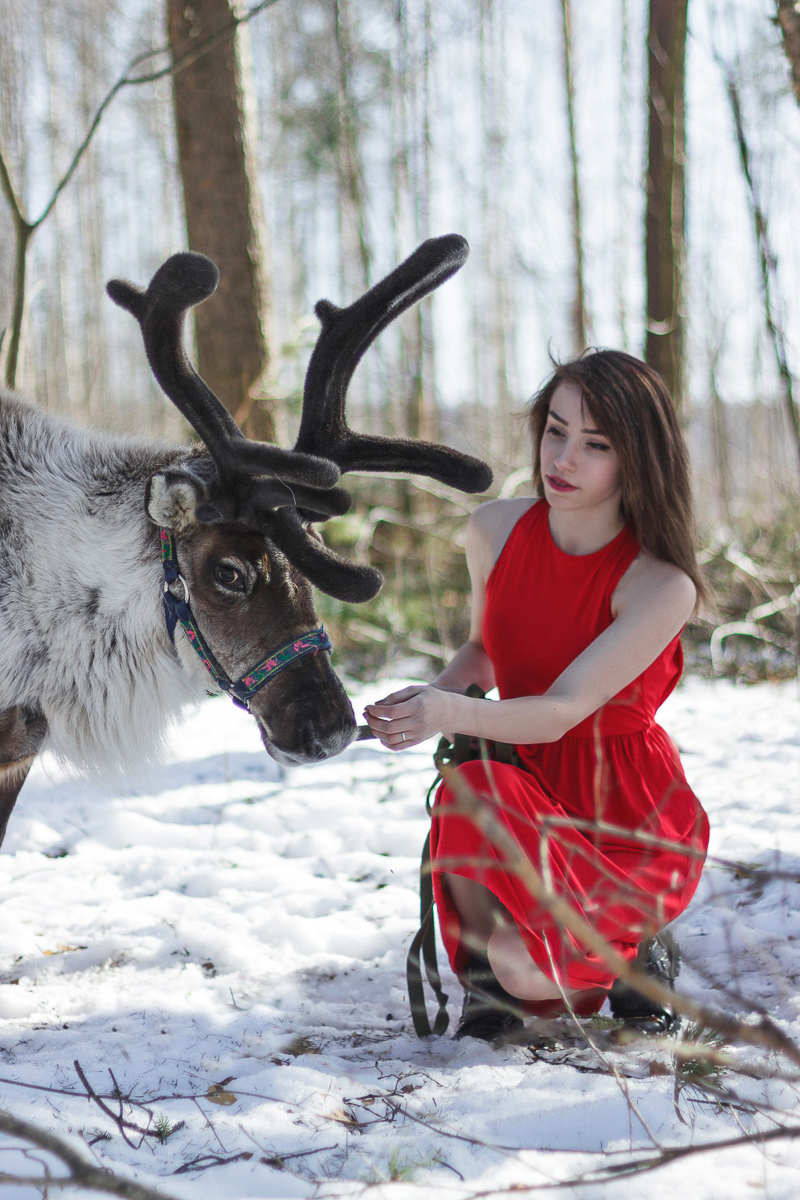 Самые интересные идеи рождаются благодаря вдохновению. Соня Цымбалюк, соучредитель двух популярных заведений во Владимире и Радужном, черпает его от животных. Рассказываем об олене, еноте, ястребе и других пушистых любимцах серьезной девушки