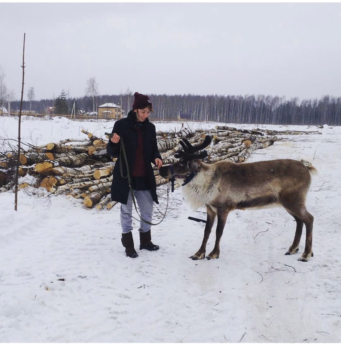 Самые интересные идеи рождаются благодаря вдохновению. Соня Цымбалюк, соучредитель двух популярных заведений во Владимире и Радужном, черпает его от животных. Рассказываем об олене, еноте, ястребе и других пушистых любимцах серьезной девушки