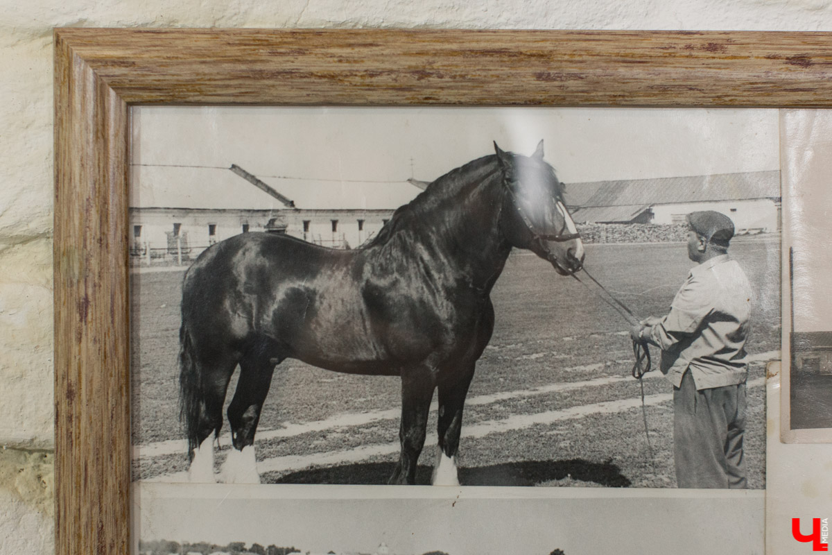 Создан новый тур в Гаврилов Посад. Чем он уникален? И как будут привлекать туристов в Ивановскую область?