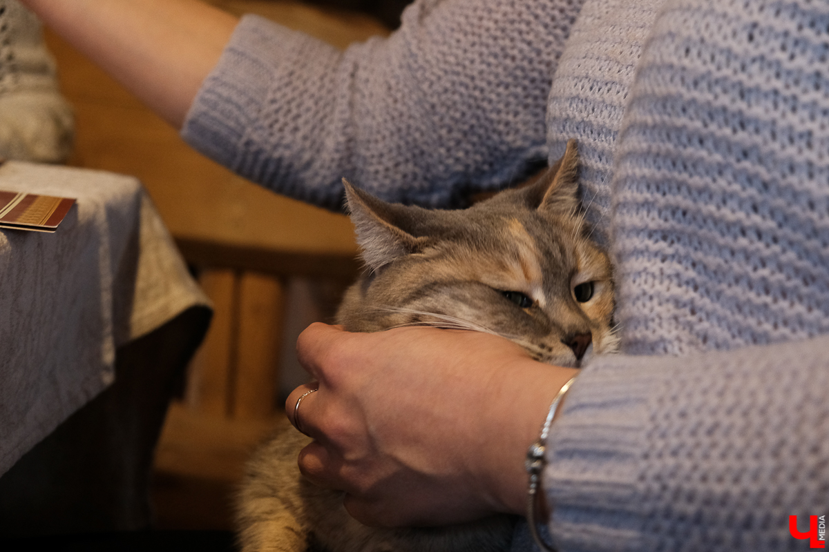 Тур из Владимира в Переславль-Залесский. Три заведения, где кормят аутентичными продуктами