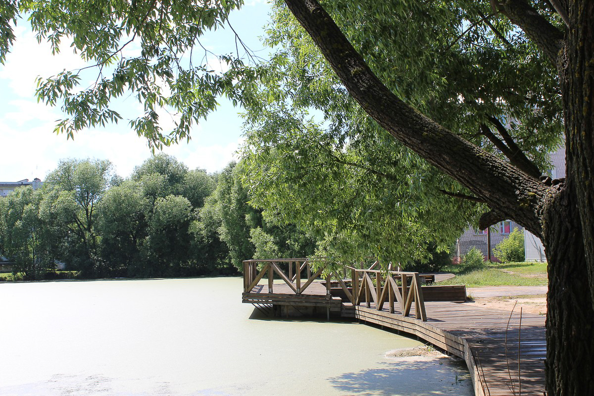 В Гусь-Хрустальном могут обустроить набережную. А где еще хотели реализовать подобные проекты и что из этого получилось?