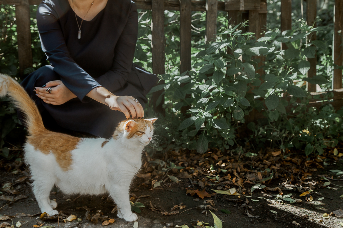 Как передать лихие N-ные в кадре стильно? Ищите ответ в истории фотографа Даши Мягкой