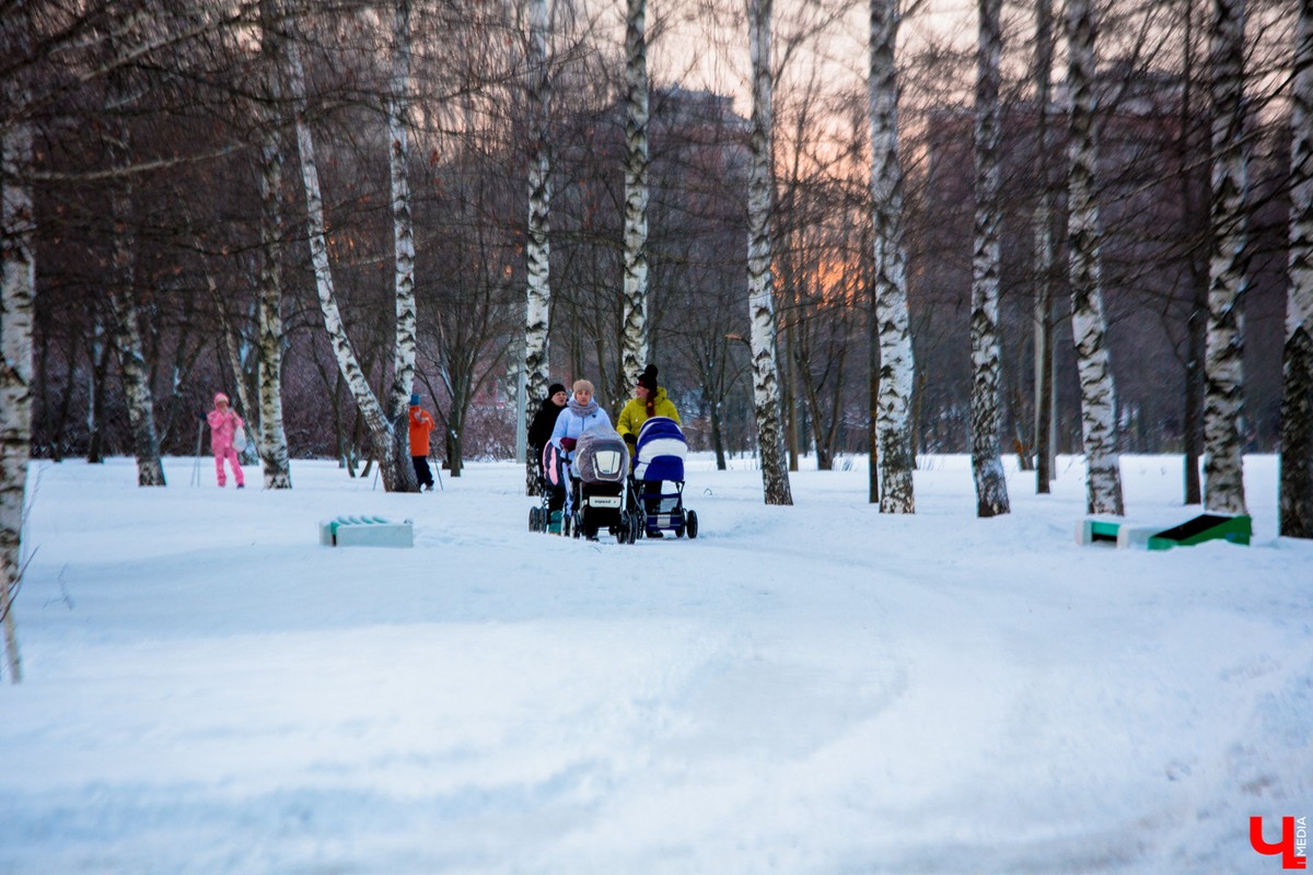 Во Владимире изменили «Зеленый щит». Парки теперь в него не входят