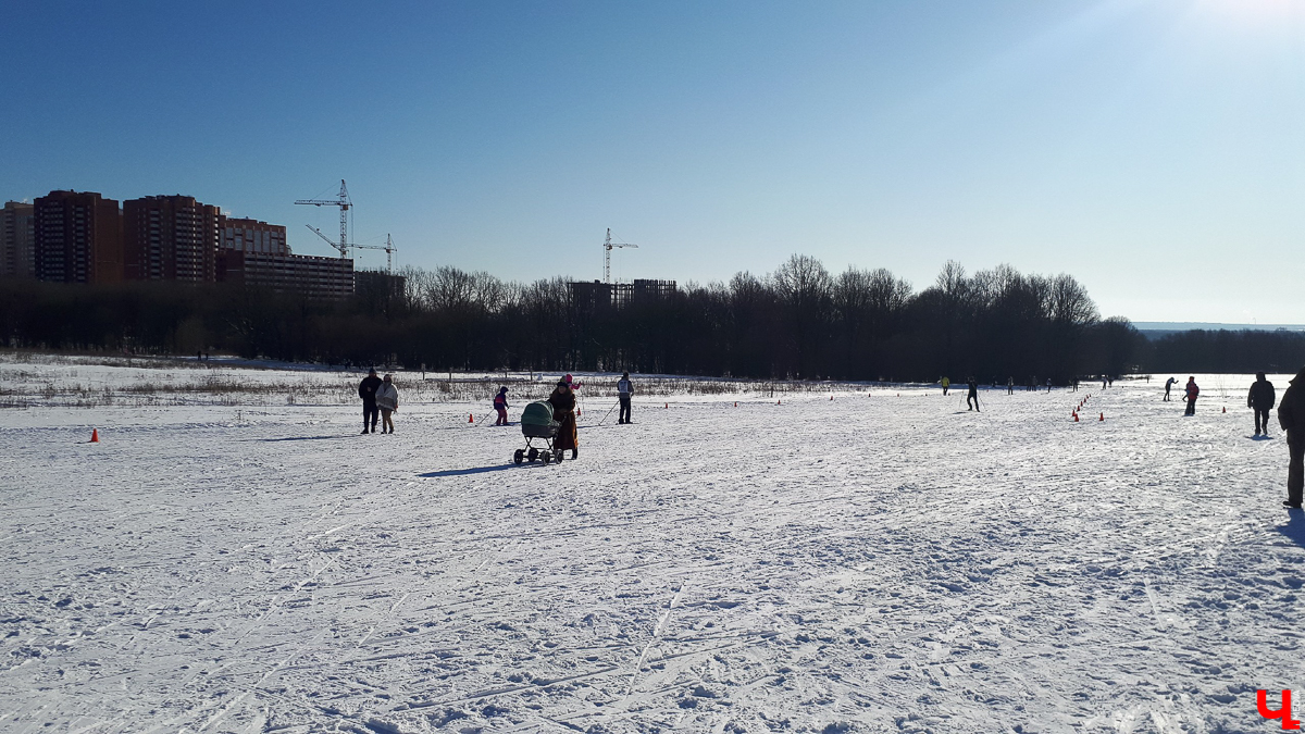 Во Владимире изменили «Зеленый щит». Парки теперь в него не входят