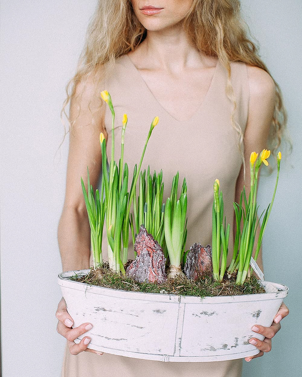 Разговор с флористами о луковичных растениях как подарках на Международный женский день