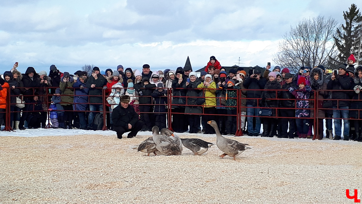 Как 29 февраля в Суздале отмечали Масленицу? Конечно, устроили гусиные потехи