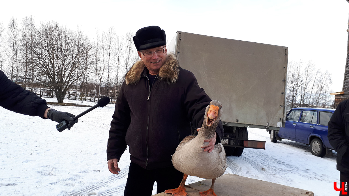 Как 29 февраля в Суздале отмечали Масленицу? Конечно, устроили гусиные потехи