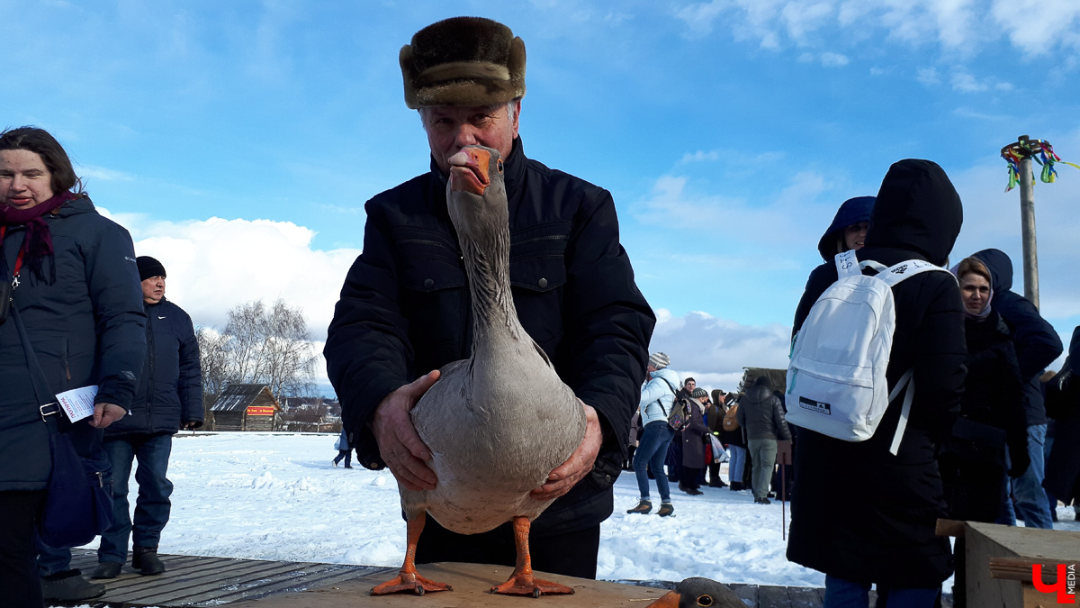 Как 29 февраля в Суздале отмечали Масленицу? Конечно, устроили гусиные потехи