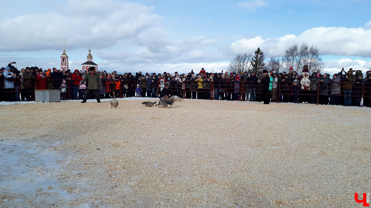Как 29 февраля в Суздале отмечали Масленицу? Конечно, устроили гусиные потехи