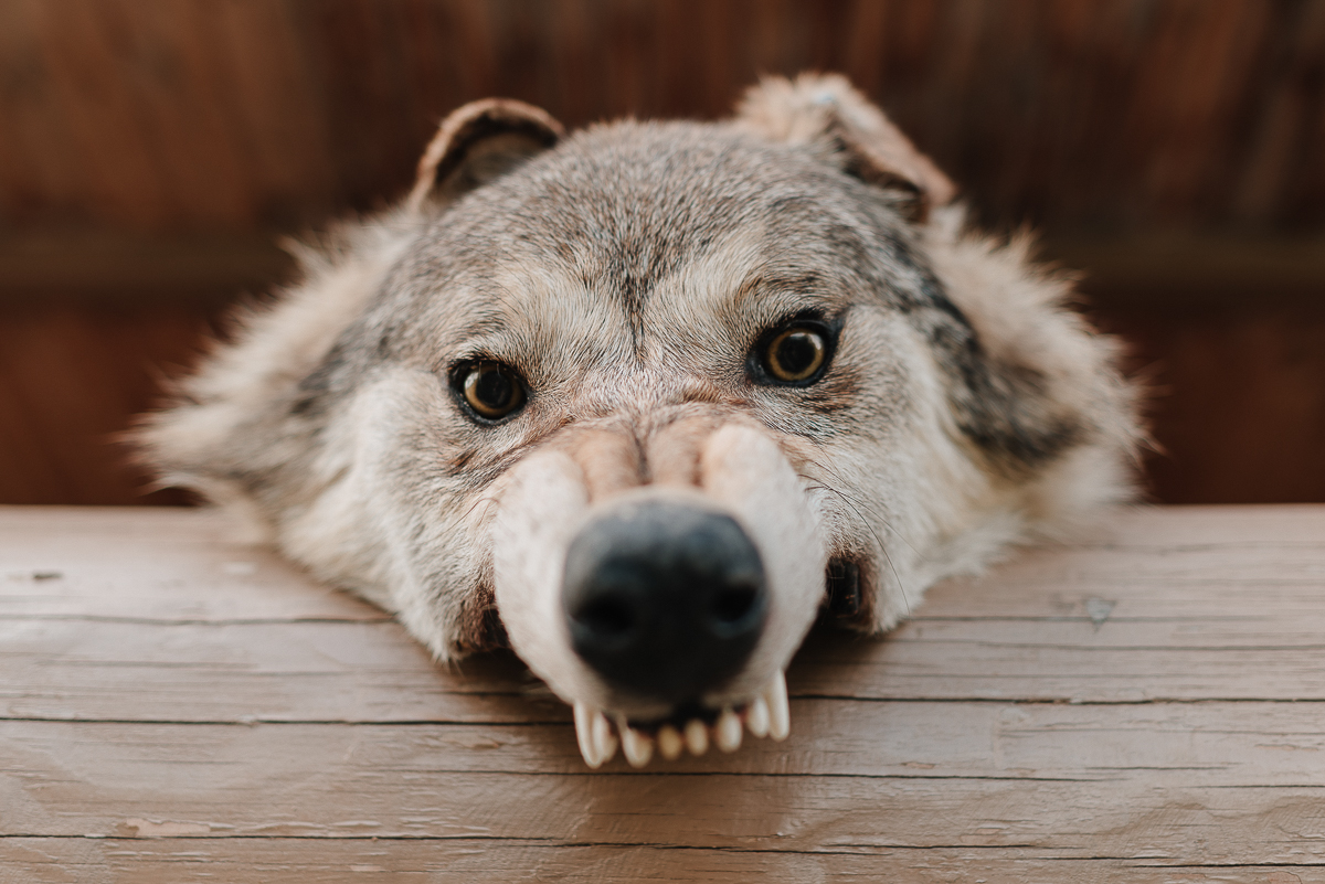 Мы пообщались с тремя владимирскими парами, которые устроили себе праздник любви, реализовав все самые тайные киноманские желания